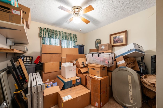 storage room featuring ceiling fan