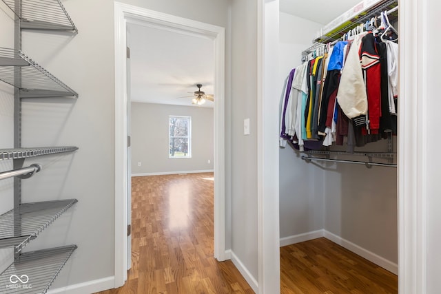 spacious closet featuring hardwood / wood-style floors and ceiling fan