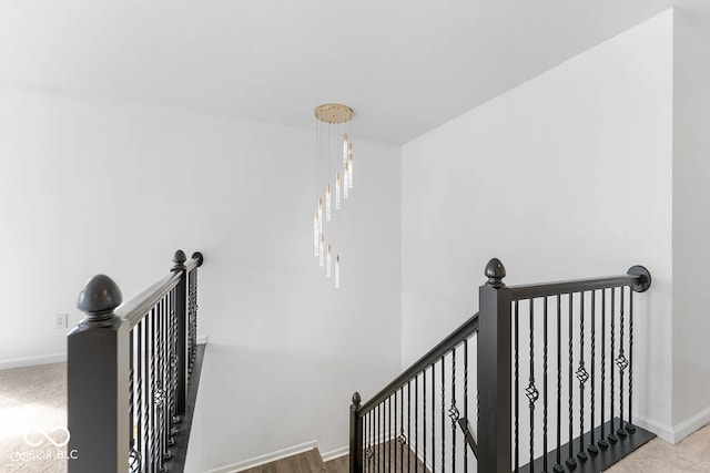 staircase featuring carpet flooring