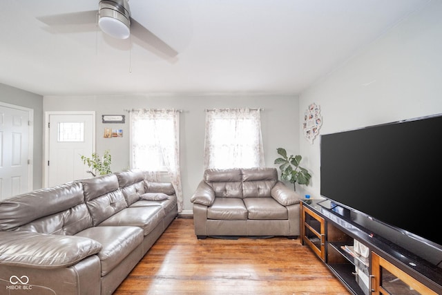 living room with ceiling fan and light hardwood / wood-style floors