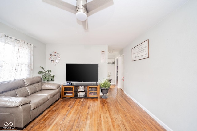 living room with ceiling fan and hardwood / wood-style flooring