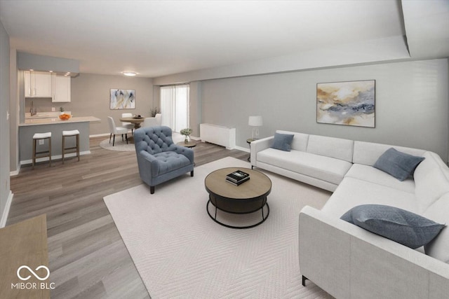 living room featuring light hardwood / wood-style flooring