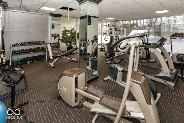 workout area featuring carpet and floor to ceiling windows