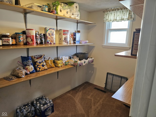 view of pantry