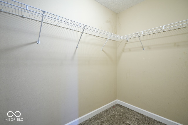8231 Golden Ridge Ln, Indianapolis, IN 46237 - photo 34