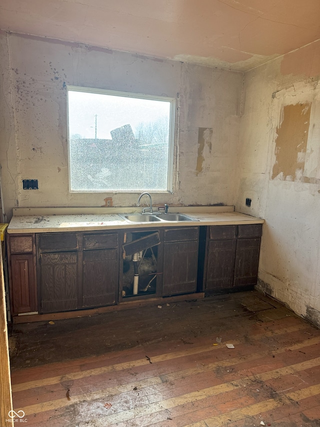 kitchen featuring dark brown cabinetry, sink, and dark wood-type flooring