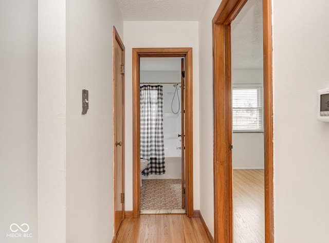 hallway featuring a textured ceiling and light hardwood / wood-style flooring