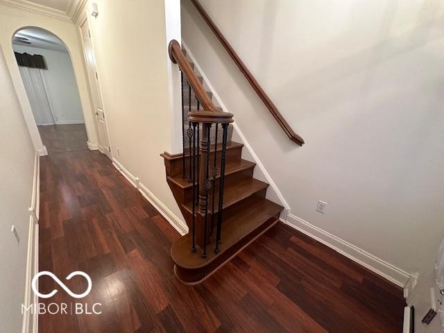 staircase with hardwood / wood-style floors and ornamental molding