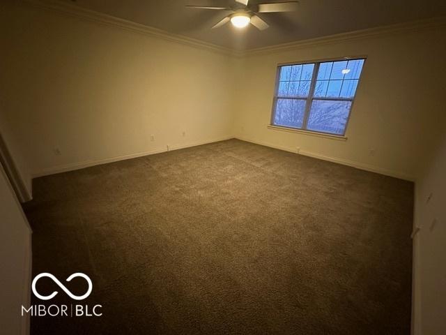 carpeted spare room with ceiling fan and ornamental molding