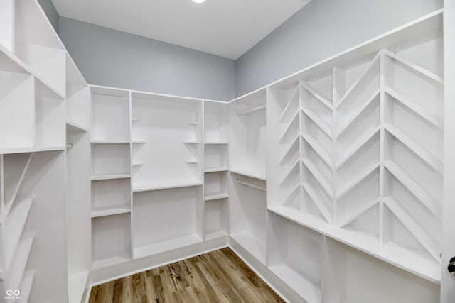 walk in closet featuring light wood-type flooring