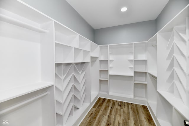 spacious closet featuring wood-type flooring