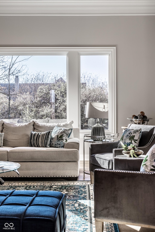 living room featuring hardwood / wood-style flooring and crown molding