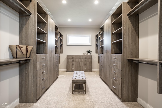 spacious closet with light carpet