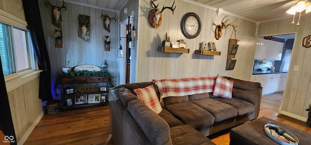 living room with ornamental molding and wood-type flooring