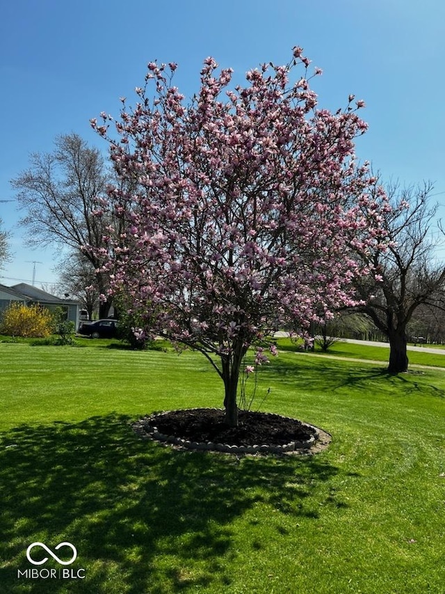 view of property's community with a lawn