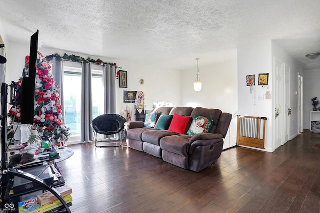 living room with a textured ceiling and dark hardwood / wood-style floors