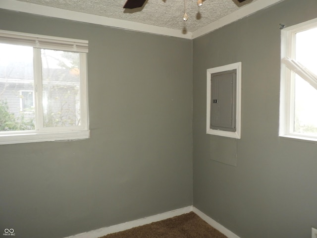 spare room with ceiling fan, carpet floors, a textured ceiling, and electric panel