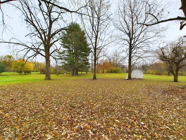 view of yard featuring a shed