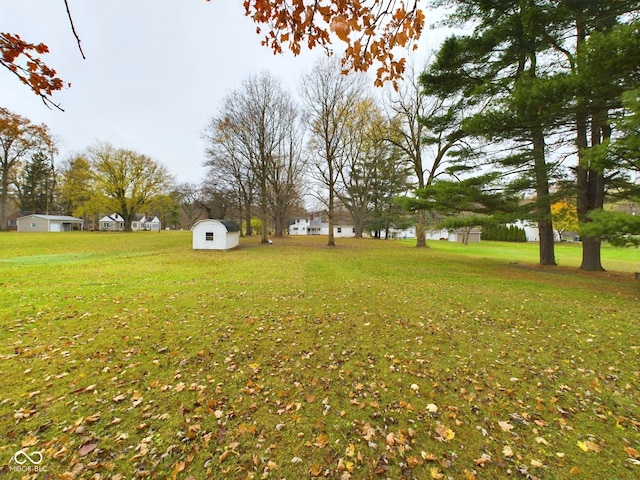 view of yard featuring a storage unit