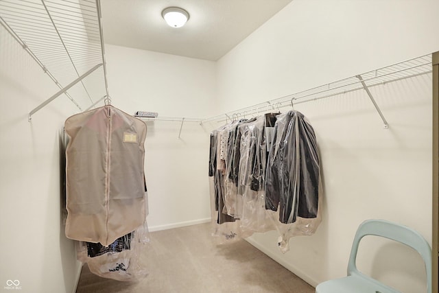 walk in closet featuring light colored carpet