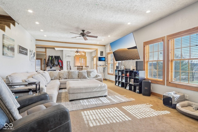 carpeted living room with ceiling fan and a textured ceiling