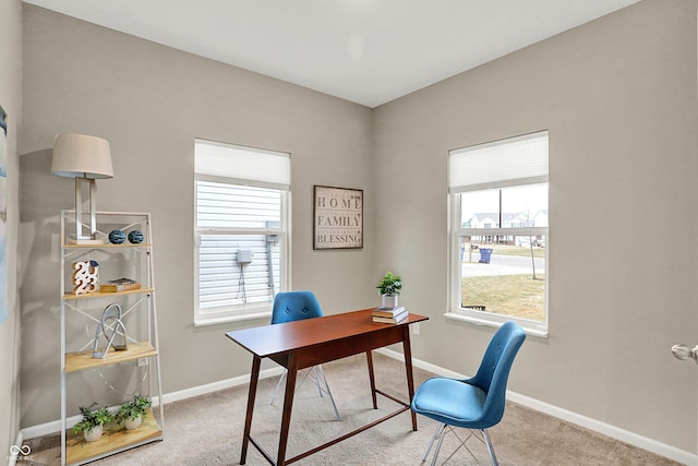 office featuring carpet