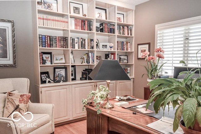 office area featuring light wood-type flooring