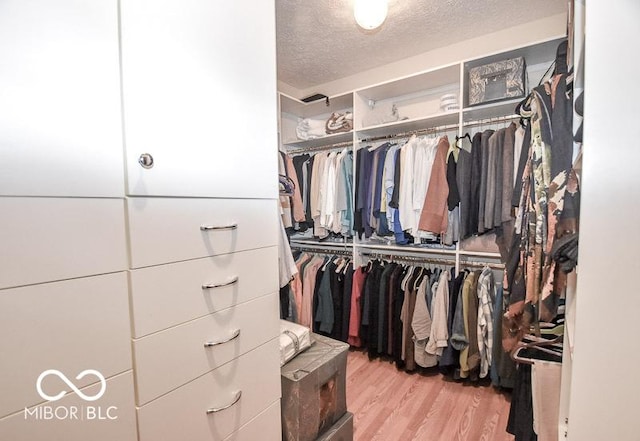 spacious closet featuring light hardwood / wood-style floors