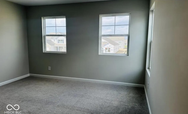 spare room featuring carpet flooring and a wealth of natural light