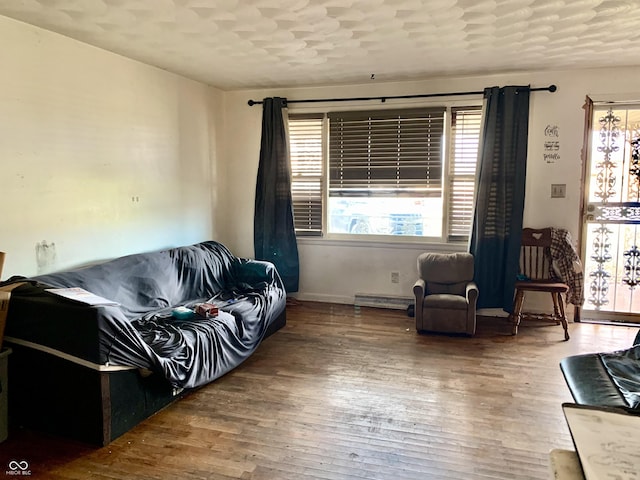 living room with baseboard heating and hardwood / wood-style flooring