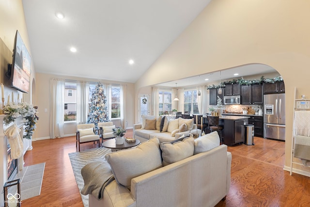 living room with light hardwood / wood-style flooring and high vaulted ceiling