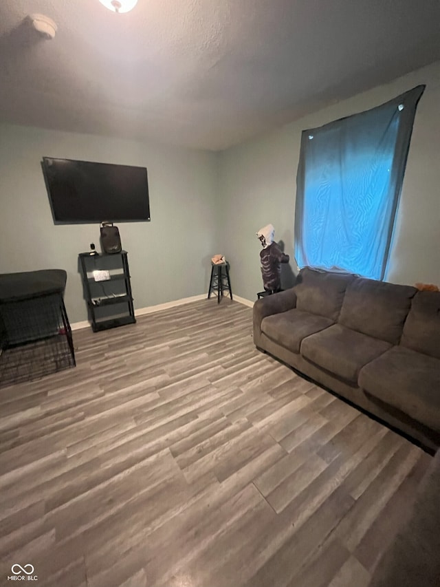 living room featuring wood-type flooring