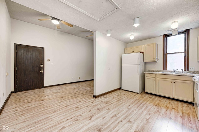 kitchen featuring white refrigerator, sink, light hardwood / wood-style flooring, ceiling fan, and a textured ceiling