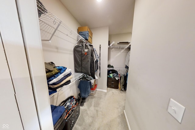 spacious closet with carpet flooring