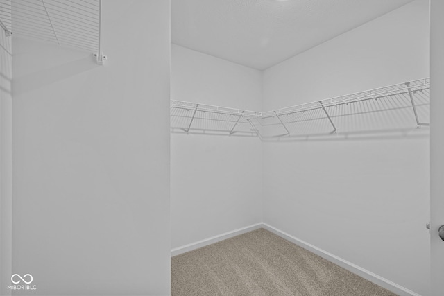 walk in closet with carpet