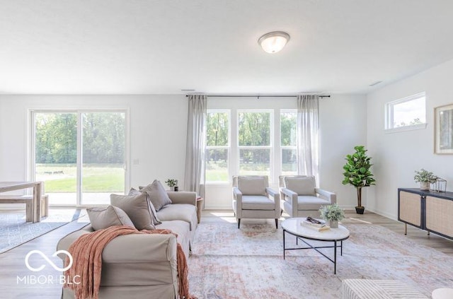 living room featuring light hardwood / wood-style floors