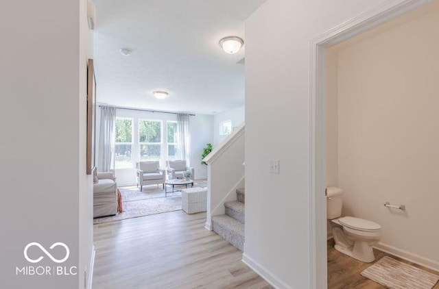 stairway with hardwood / wood-style flooring