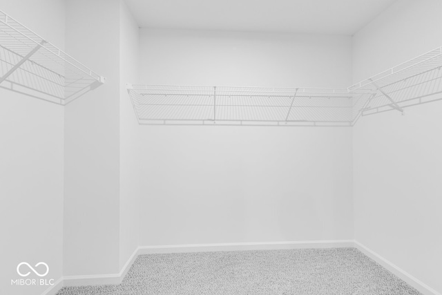 spacious closet with carpet flooring