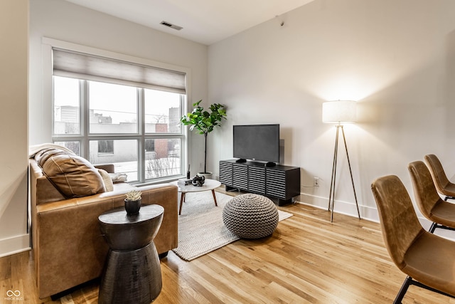 living room with wood-type flooring