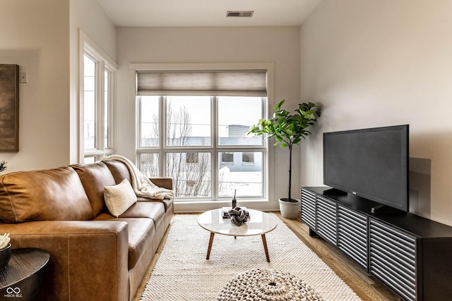 living room with hardwood / wood-style floors