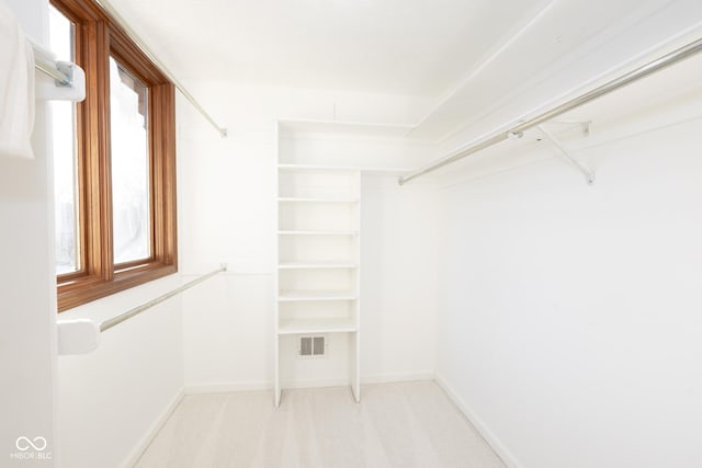 spacious closet with light colored carpet