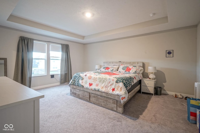 carpeted bedroom with a raised ceiling