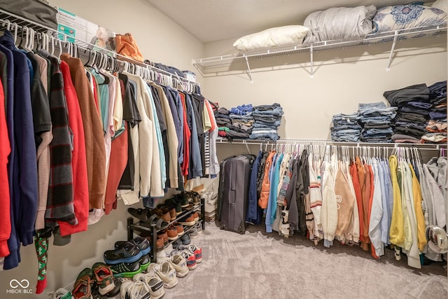 spacious closet with carpet