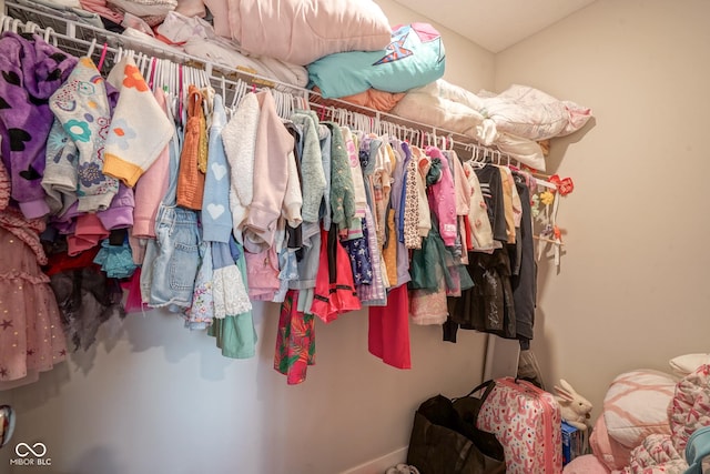 view of spacious closet