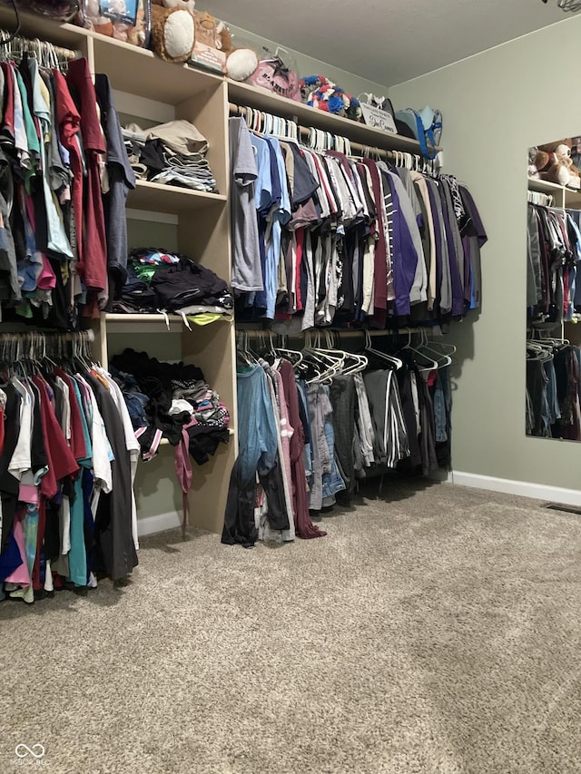 spacious closet featuring carpet floors