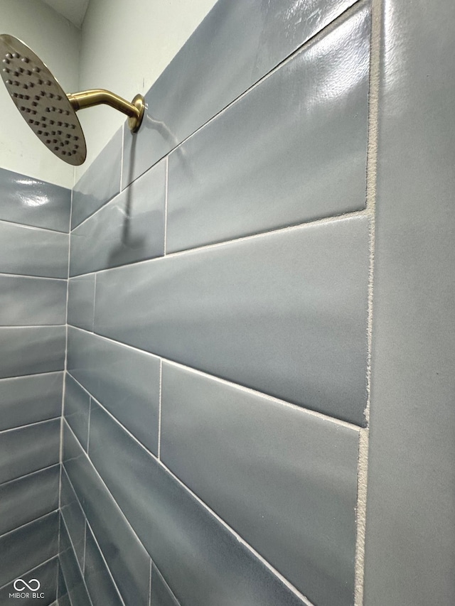 room details with tiled shower