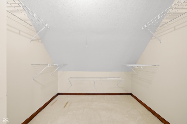 spacious closet featuring carpet flooring