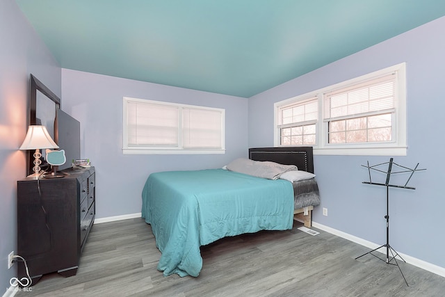 bedroom featuring wood-type flooring