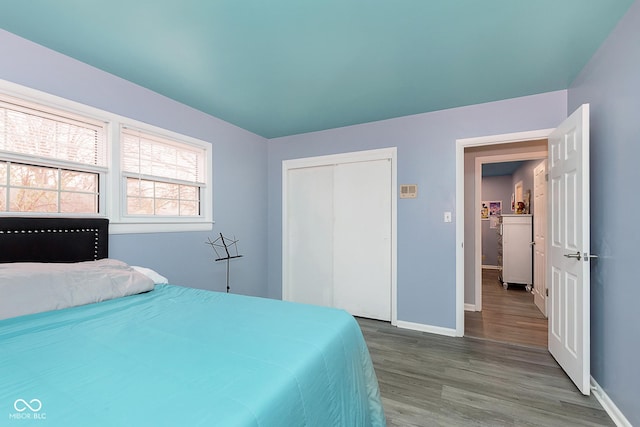 bedroom featuring wood-type flooring and a closet