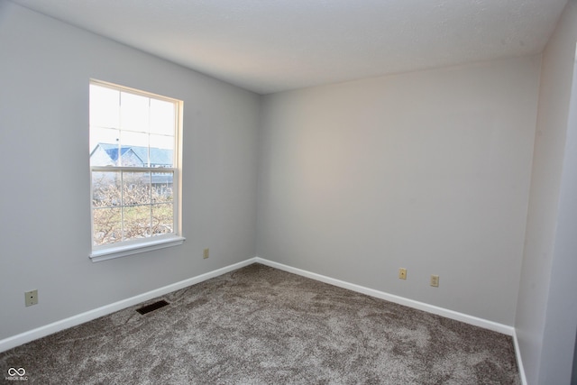 spare room featuring carpet floors